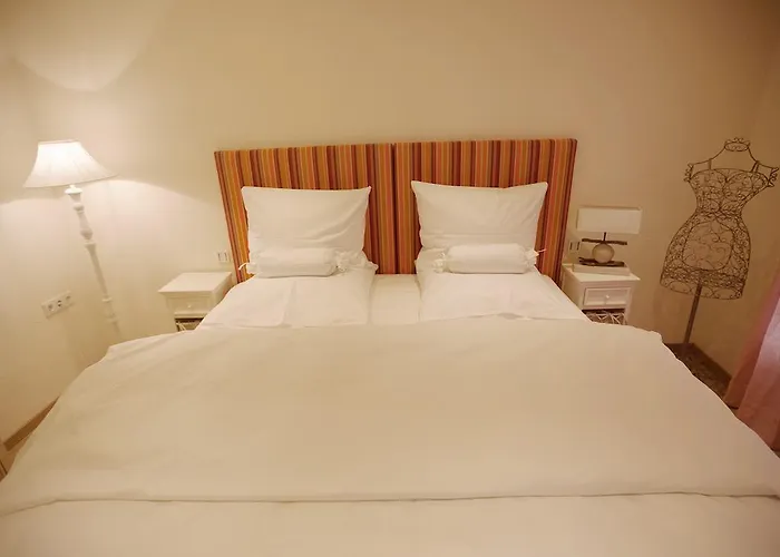 Viii レーゲンスブルク